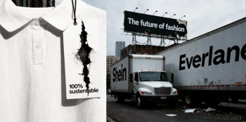 A sustentável que não sustentou: Everlane foi vendida porque devia, não porque valia